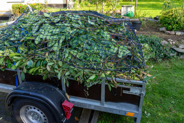 Reliable Mount Pleasant, UT Junk Removal Services Solutions